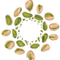 pistachio